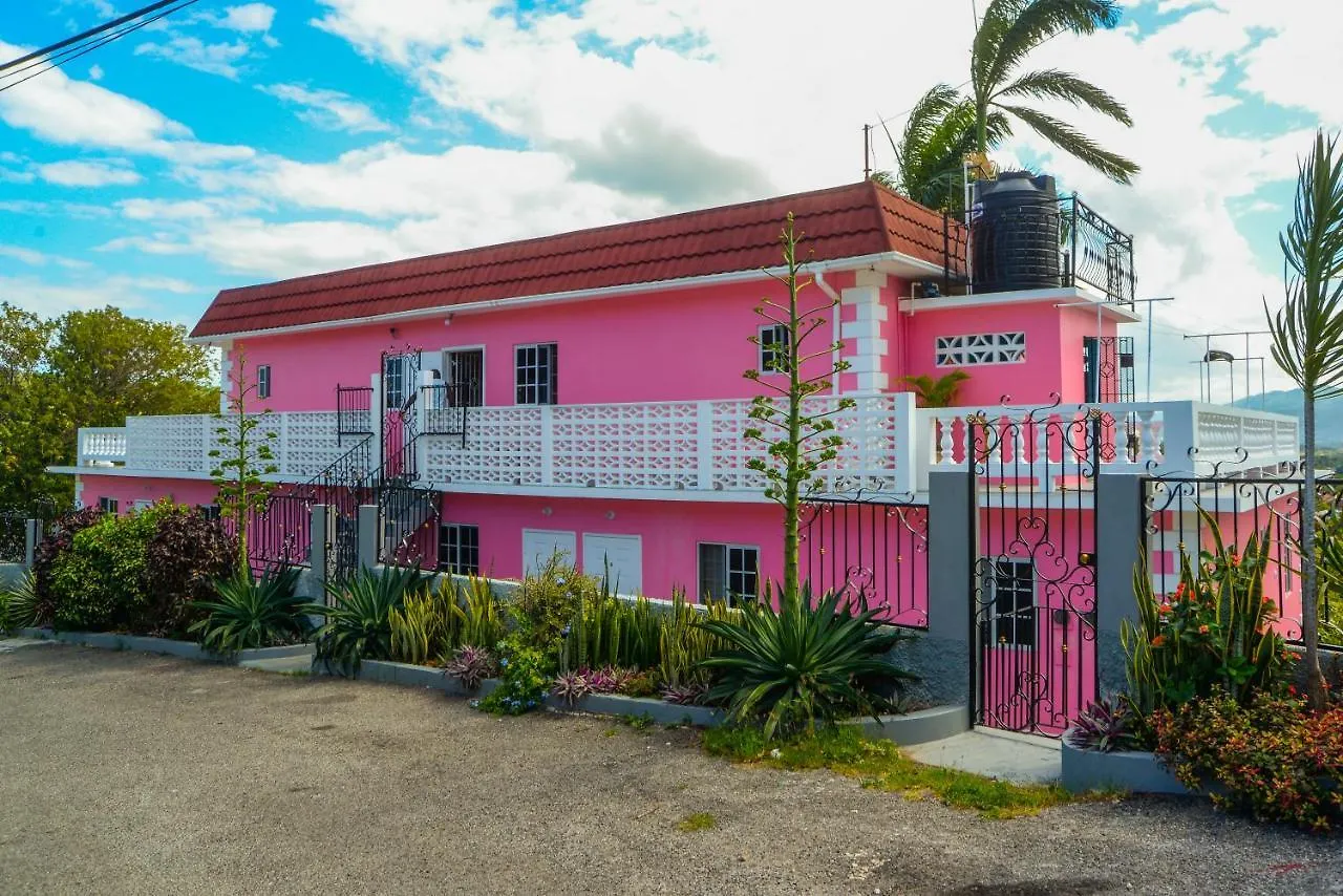 Three Palm Villa Montego Bay Guest house