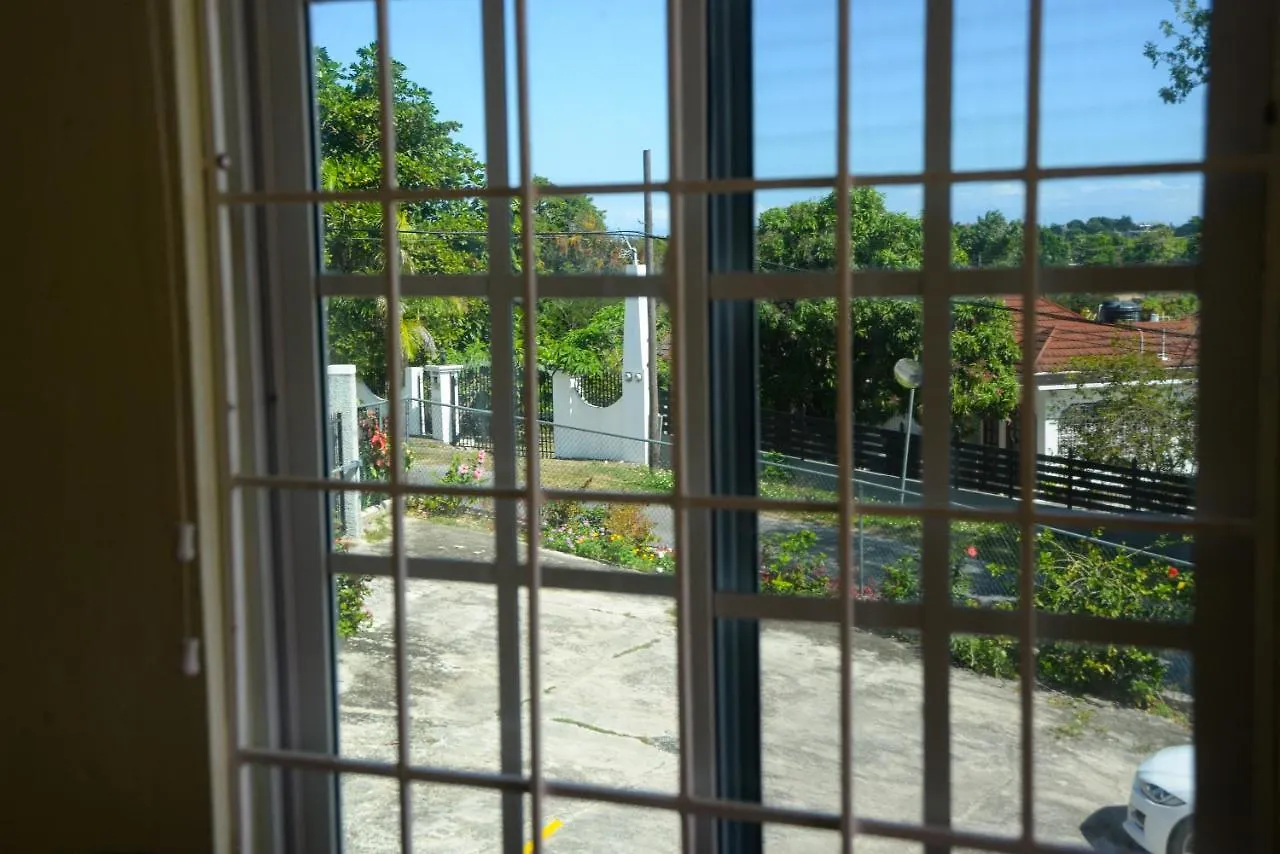 Three Palm Villa Montego Bay Guest house